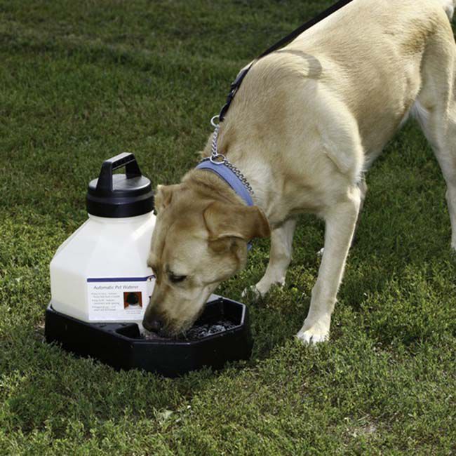 Pet Lodge Travel Pal Pet Waterer - 3-Gallon Capacity image number null