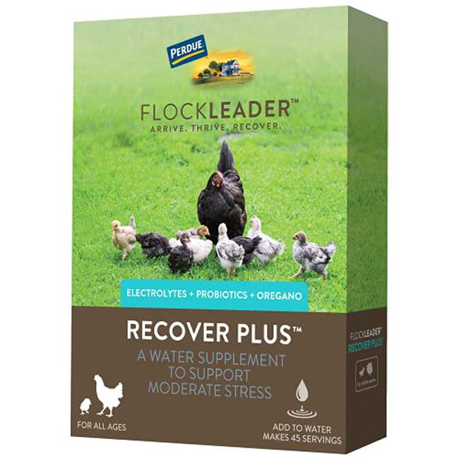 FlockLeader Recover Plus for Chickens image number null