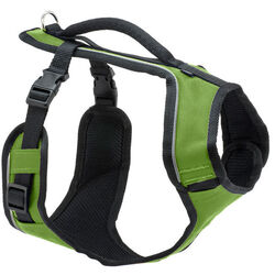 PetSafe EasySport Harness - Apple Green