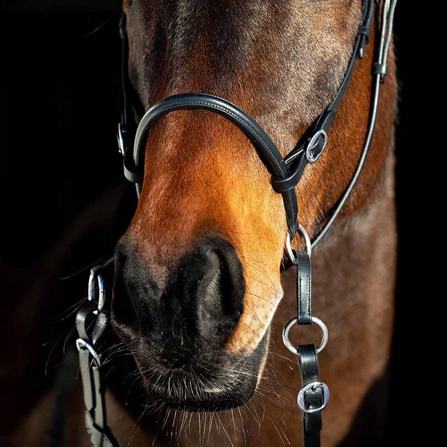 Horze Bitless Bridle image number null