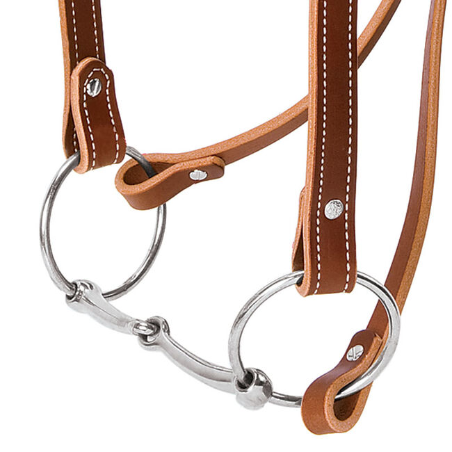 Weaver Equine Draft Horse Riding Bridle image number null