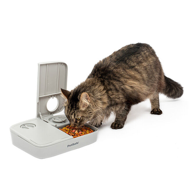 PetSafe Automatic 2 Meal Pet Feeder image number null
