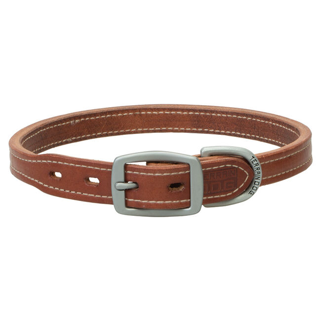 Terrain D.O.G. Buttered Harness Leather Hybrid Dog Collar - Canyon Rose image number null