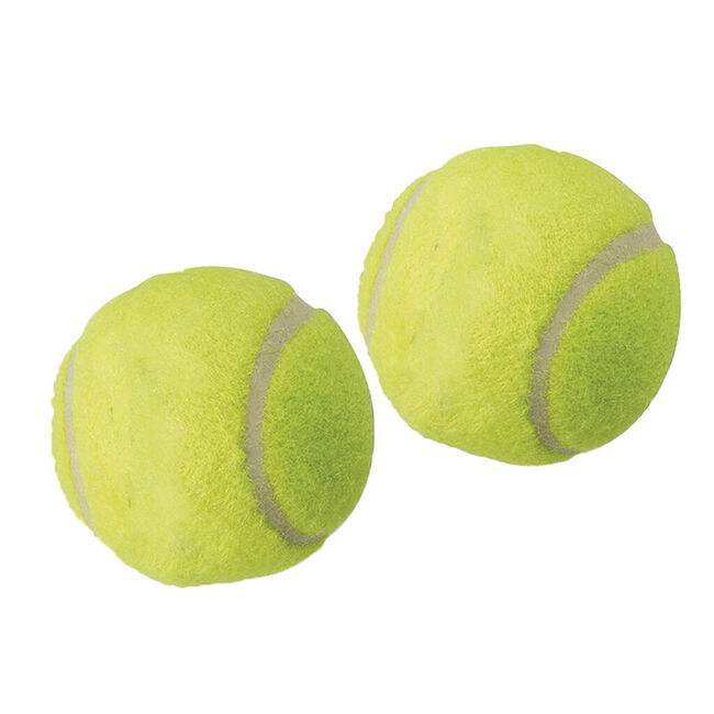 Spot Mini Launch & Fetch 2" Tennis Balls - 2-Pack image number null