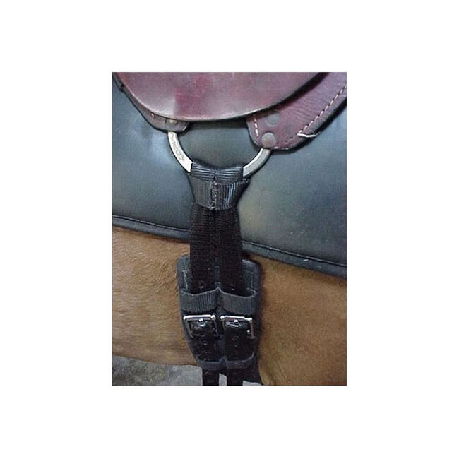 Whinny Widgets Cinch Converter image number null