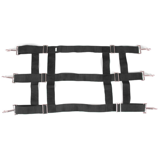 Intrepid International 3-Slot Poly Web Stall Guard image number null