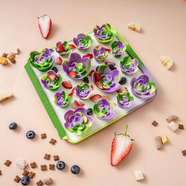 Tall Tails Foraging Mat for Dogs - Succulents image number null