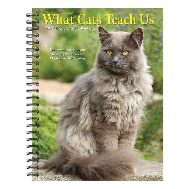 Willow Creek Press 2026 Engagement Calendar - What Cats Teach Us image number null