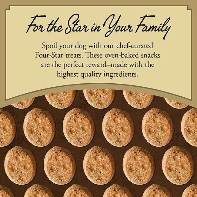 Fromm Four-Star Dog Treats - Parmesan Cheese Recipe - 8 oz image number null