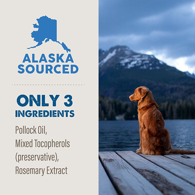 Grizzly Pet Products Wild Alaskan Pollock Oil Supplement image number null