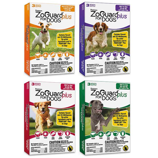 ZoGuard Plus Flea Tick Preventative for Dogs 3 Month Supply The Cheshire Horse