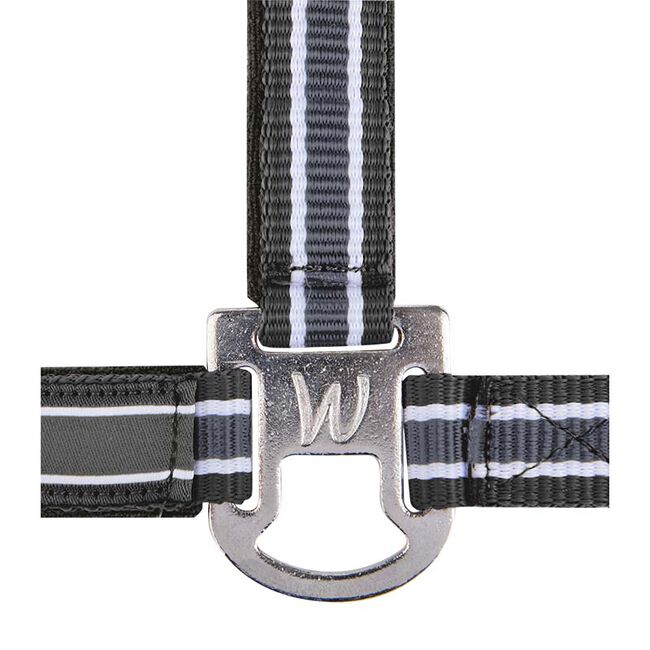 Waldhausen Athletic Halter image number null