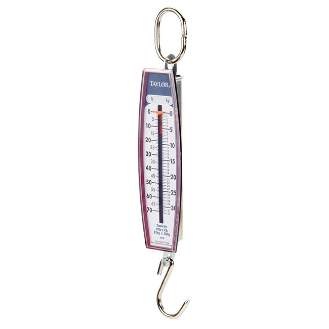 Taylor 3070 Industrial Hanging Scale - 70-lb Capacity image number null