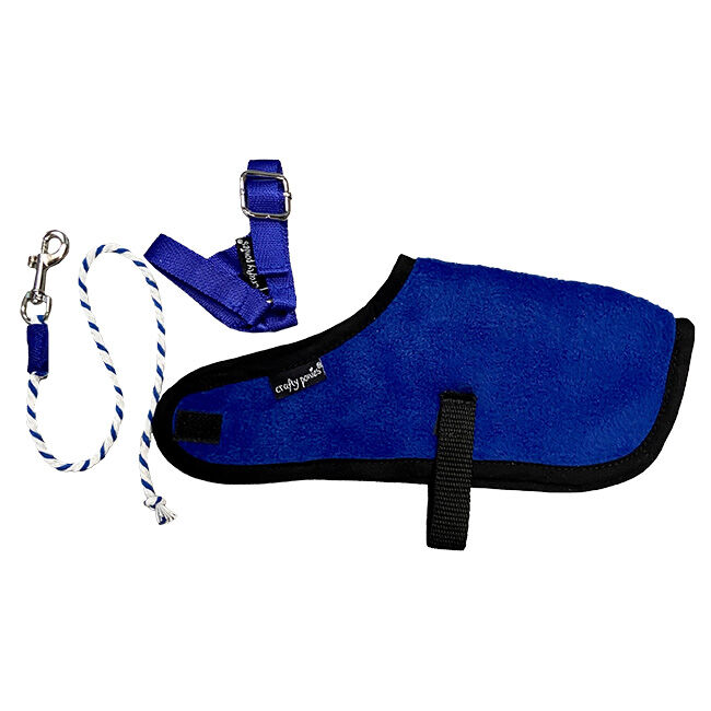 Crafty Ponies Foal Rug Set image number null