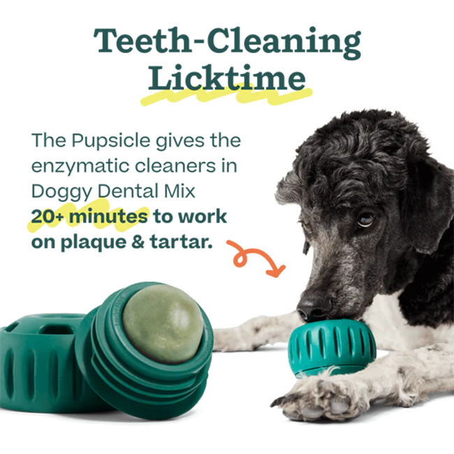 Woof Pupsicle Treat Mix - Doggy Dental - 5.5 oz image number null