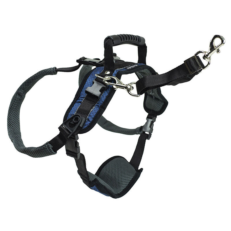 Rear support dog harness cheap