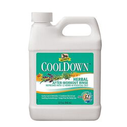 Absorbine CoolDown - Herbal After-Workout Rinse - 32 oz