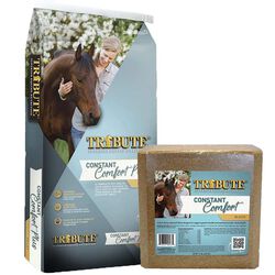 Tribute Constant Comfort Total Gut Health System