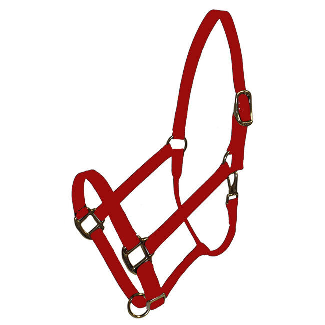 Triple E 1&rdquo; Adjustable Nylon Draft Halter image number null