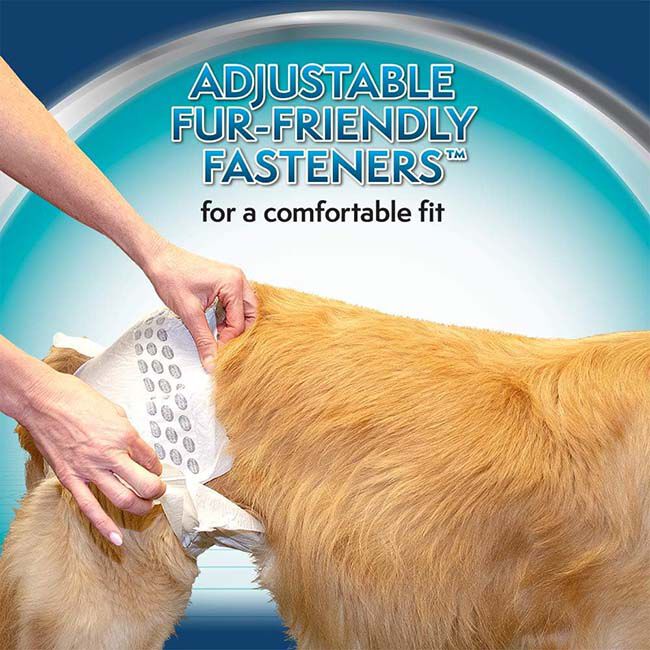 Simple Solution Disposable Female Dog Diapers - 12-Count image number null
