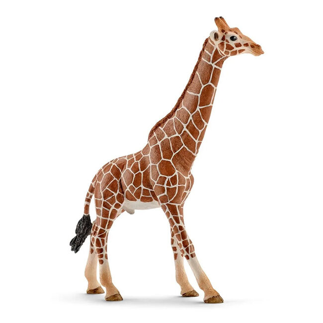 Schleich Male Giraffe image number null