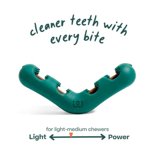 Woof Bite n' Brush image number null