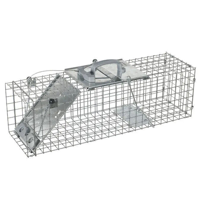 Havahart Easy Set Medium 1 Door Animal Trap The Cheshire Horse