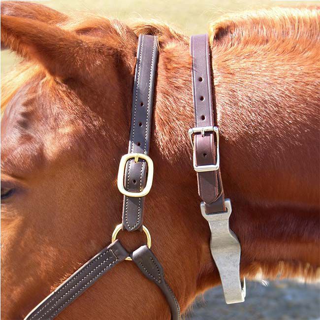 Intrepid International Cribbing Strap with Leather Crown The Cheshire