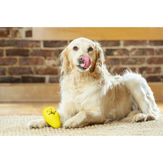 PetSafe Frosty Cone image number null
