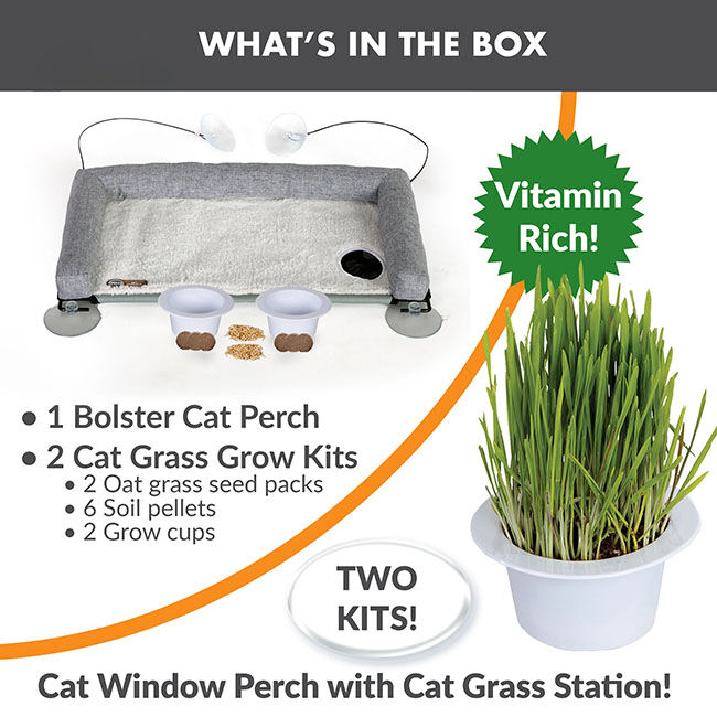 K&H Pet EZ Mount Deluxe Bolstered Window Kitty Sill Cat Perch with Cat Grass Grow Station image number null