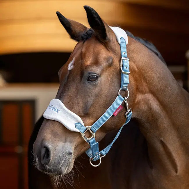 LeMieux Vogue Halter & Lead Rope - Ice Blue image number null