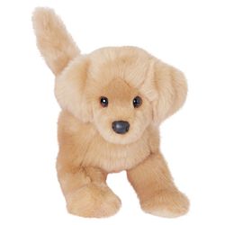 Douglas Bella the Golden Retriever
