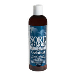 Arenus Sore No-More Performance Gelotion