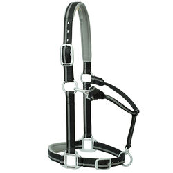 Weaver Equine Nylon Padded Reflective Adjustable Horse Halter
