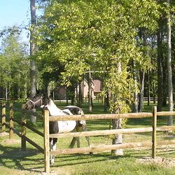 American Timber and Steel Split Rail Fencing