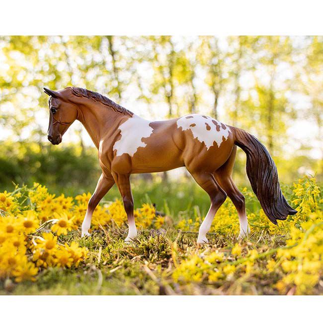 Breyer Red Dun Pintaloosa image number null