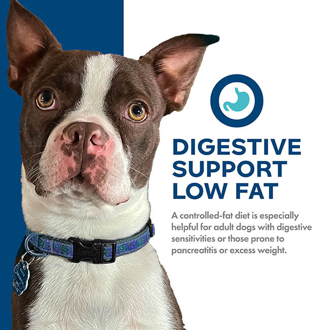 Fromm Nutritionals Digestive Support Low Fat Dog Food - Chicken & Oatmeal Recipe image number null