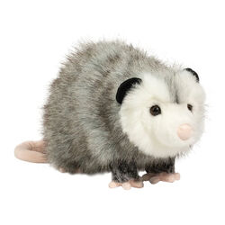 Douglas Ozzy the DLux Possum