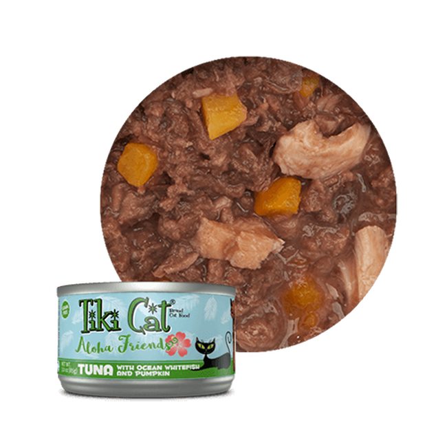 Tiki cat deals aloha friends