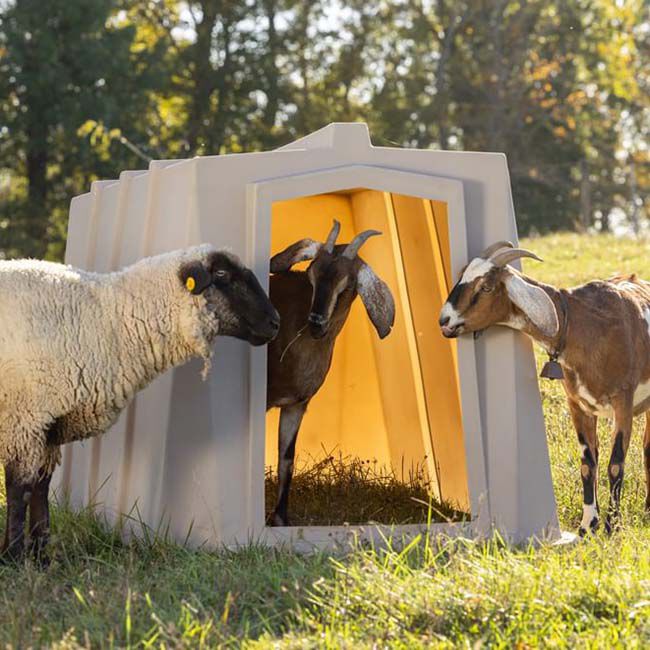 Behlen Country The Bungalow - Standard Calf Hutch image number null