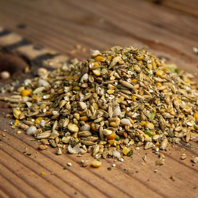 New Country Organics Organic Olive Oil Layer Feed - 40 lb image number null