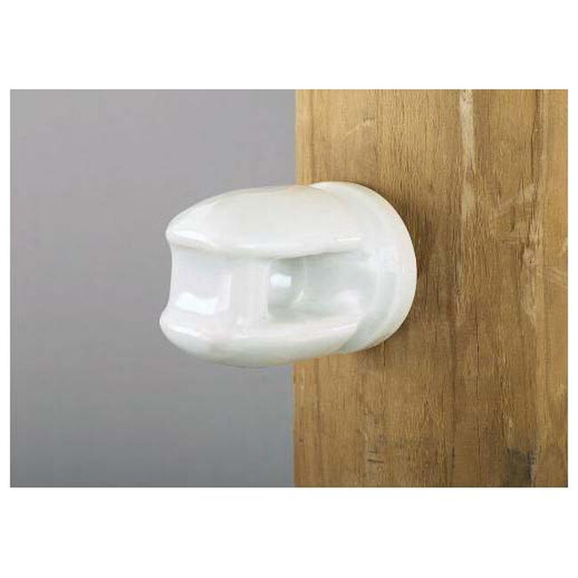 Dare Porcelain Insulator with Lag Bolt 29 lb image number null