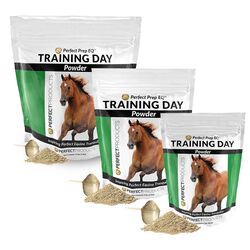 Perfect Prep EQ Training Day Powder