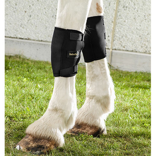 Horse knee boots hotsell