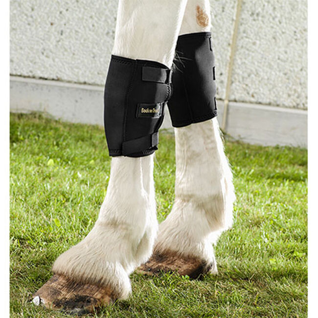 Back on Track Therapeutic Horse Knee Boots - Pair image number null