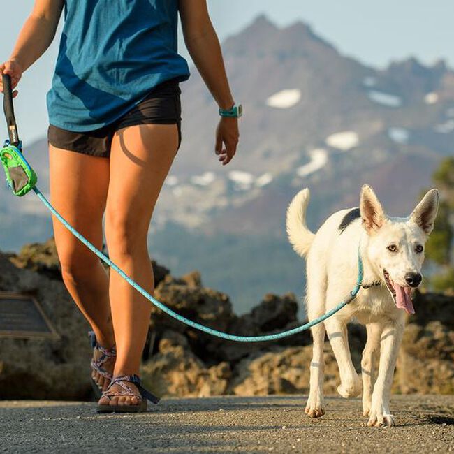 Ruffwear Just-A-Cinch Dog Leash image number null