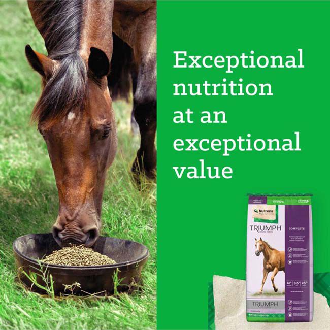 Nutrena Triumph Complete Horse Feed - 50 lb image number null