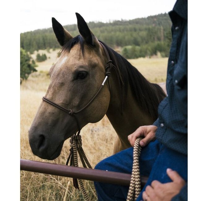 Knotty Girlz Soft 2-Knot Hackamore Set image number null