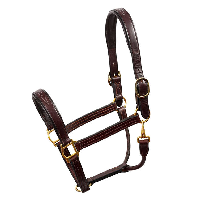 Perri's Leather Fancy Stitched Leather Halter image number null
