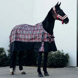 Horze Nevada 1200D Lightweight Turnout Sheet - Closeout
